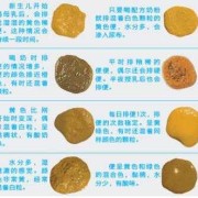 孕期排便正常（孕妇一天去3次大便是正常的吗）