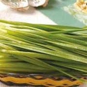 孕期不能吃韭菜吗（孕妇不能吃什么蔬菜）