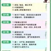怀孕期间能做什么工作（怀孕期间能做什么工作比较适合）