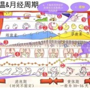 安全期受孕期（安全期受孕期怎么算）