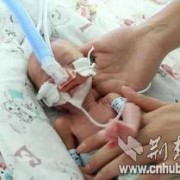 怀孕六周胎儿有多大（怀孕六个月的小孩子应该长成什么样了?六个月就生出来会怎么样）