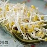 孕期能吃黄豆芽吗（孕期能吃黄豆芽吗?）