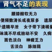 孕期肾气不足（孕期肾气不足的症状）