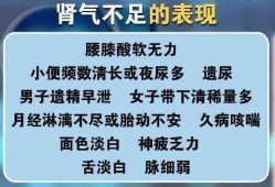 孕期肾气不足（孕期肾气不足的症状）