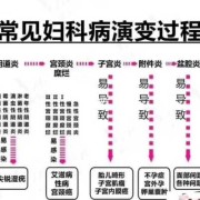孕妇得了霉菌性阴炎怎么办,怀孕期间霉菌性阴炎怎么治疗