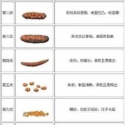 孕期屎很多（孕期屎很多怎么回事）