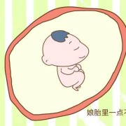 怀孕几周胎儿有听力（怀孕几周胎儿成人形）