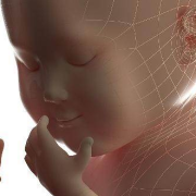 两个月婴儿的正确背法,孕妇背怀胎儿图片对比