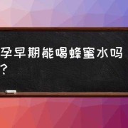 孕期能喝蜂蜜吗（孕妇可以喝蜂蜜吗?孕早期）