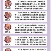 胎儿发育时间（胎儿发育时间）