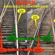 问什么是道岔的反位,胎儿心脏反位是什么情况