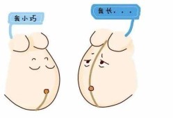 一般在怀孕几个月的时候，肚子上会出现黑线,孕期肚子上的黑线是什么时候开始有的