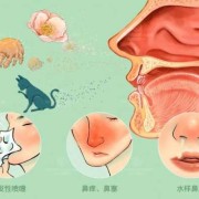 孕妇过敏性鼻炎对胎儿有影响吗？会造成什么影响呢,过敏性鼻炎对胎儿影响严重吗