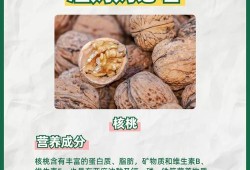 孕期可以吃坚果吗（怀孕吃什么干果）