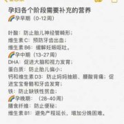 孕期各阶段需要补充的营养（孕期各阶段需要补充的营养表）