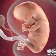 孕34周，胎儿腿短怎么办,胎儿腿短吃什么可以补起来