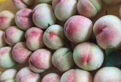 孕妇吃哪种桃比较好,孕妇吃水蜜桃对胎儿好吗有影响吗