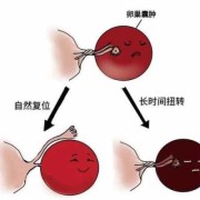 孕期暖巢囊肿（孕期暖巢囊肿会影响胎儿吗）