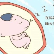 胎儿在肚子里一天睡多久（胎儿在肚子里一天睡多久觉）