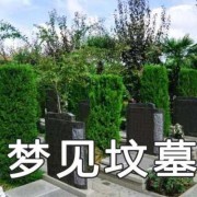 孕期梦见坟（孕期梦见坟）