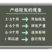 如何防止孕期脱发（如何防止孕期脱发的方法）