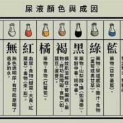 怀孕五个月了尿臭正常吗?好大味道有时候坐着都闻到味道,孕期尿液味道大正常吗