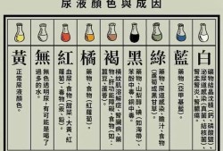 怀孕五个月了尿臭正常吗?好大味道有时候坐着都闻到味道,孕期尿液味道大正常吗