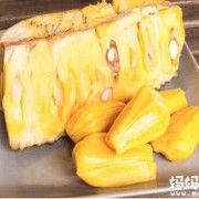 孕期可以吃菠萝蜜吗（孕期可以吃菠萝蜜吗中期）