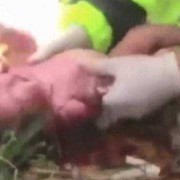无意把一个孕妇撞了一下，把孩子给撞没了，怎么办,胎儿被撞出母体南京车祸