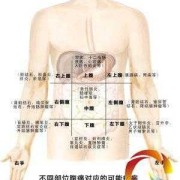 宝宝前胸肋骨突出了该怎么办才好的啊,胎儿顶肋骨疼说明什么