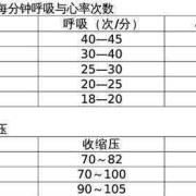 怀孕多久宝宝有心跳,胎儿心率多少正常范围内是正常的