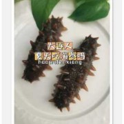 孕期能吃海参吗（怀孕期间能吃海参吗？我看同事买了好多海参，这么补可以吃的吗）