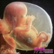 胎儿腿短是男孩吗（胎儿腿短是男孩吗）
