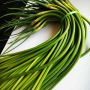 孕妇吃蒜苔对胎儿好吗（产妇能吃蒜苗吗）