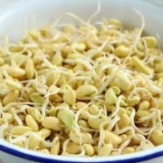 孕期吃豆芽（孕期吃豆芽好不好）