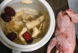 孕期乳鸽汤（孕期乳鸽汤怎么做）