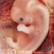 孕三十六周胎儿有多重（孕三十六周胎儿有多重正常）