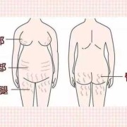 孕期肚子长纹（孕期肚子长纹怎么控制）
