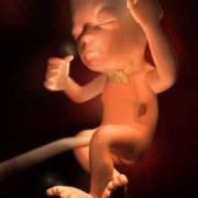 怀孕33周胎儿有多重（怀孕33周胎儿有多重正常）