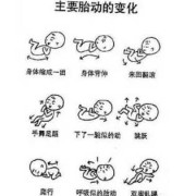 如何知道胎儿是否缺氧（如何知道胎儿是否缺氧呢）
