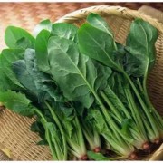 孕期菠菜（孕妇多吃什么蔬菜好）