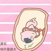 胎儿AF（胎儿af是什么意思）