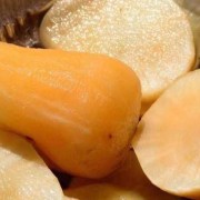 雪莲果孕妇可以吃吗,孕期可以吃雪莲果吗早期