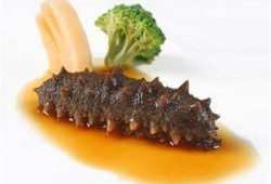 怀孕期间能不能吃海参（怀孕期间能不能吃海参鲍鱼）