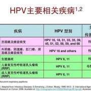 妇科hpv怎么检查,孕期检查Hpv吗
