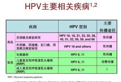 妇科hpv怎么检查,孕期检查Hpv吗