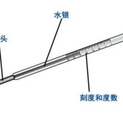 怎么用水银温度计给宝宝测体温,水银胎儿畸形