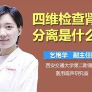 胎儿fl是什么意思（胎儿fl是什么意思呢）