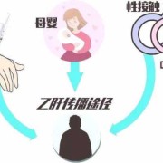 乙肝携带者会遗传吗,乙肝会遗传给胎儿吗知乎