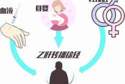 乙肝携带者会遗传吗,乙肝会遗传给胎儿吗知乎